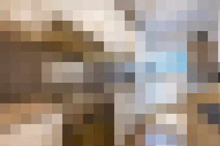 Huis te Landelaan 44 Rijswijk thumbnail 8