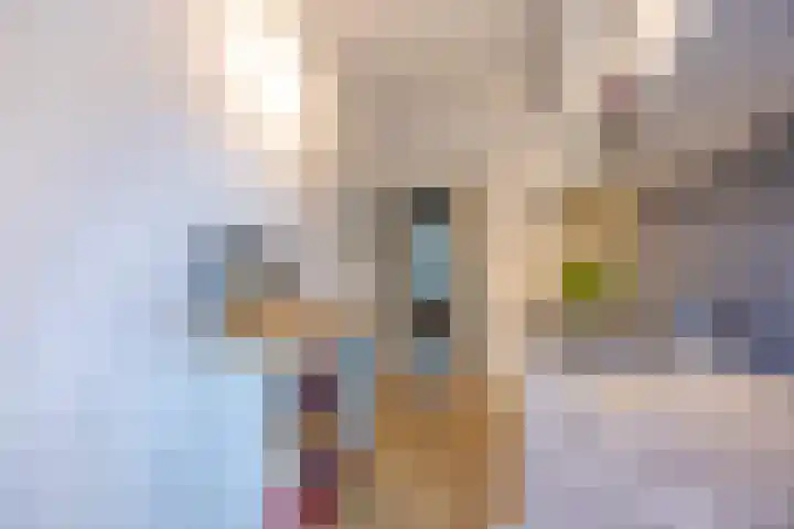 Huis te Landelaan 44 Rijswijk thumbnail 9