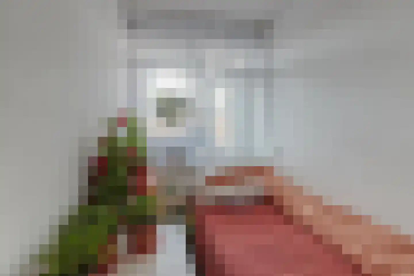 Huis te Landelaan 474 Rijswijk thumbnail 16
