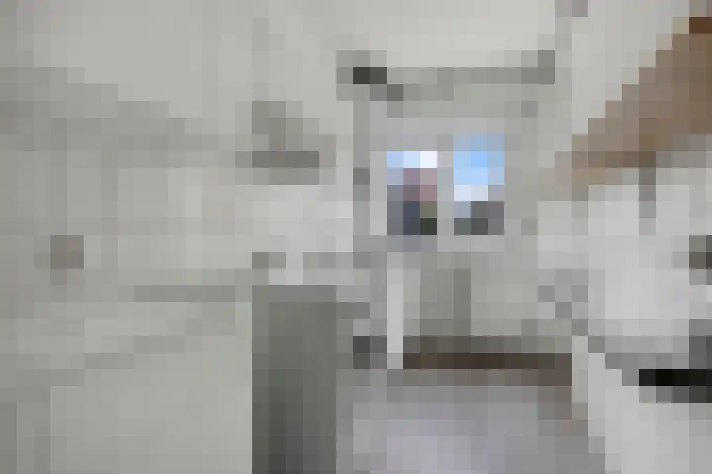 Huis te Landelaan 478 Rijswijk thumbnail 10