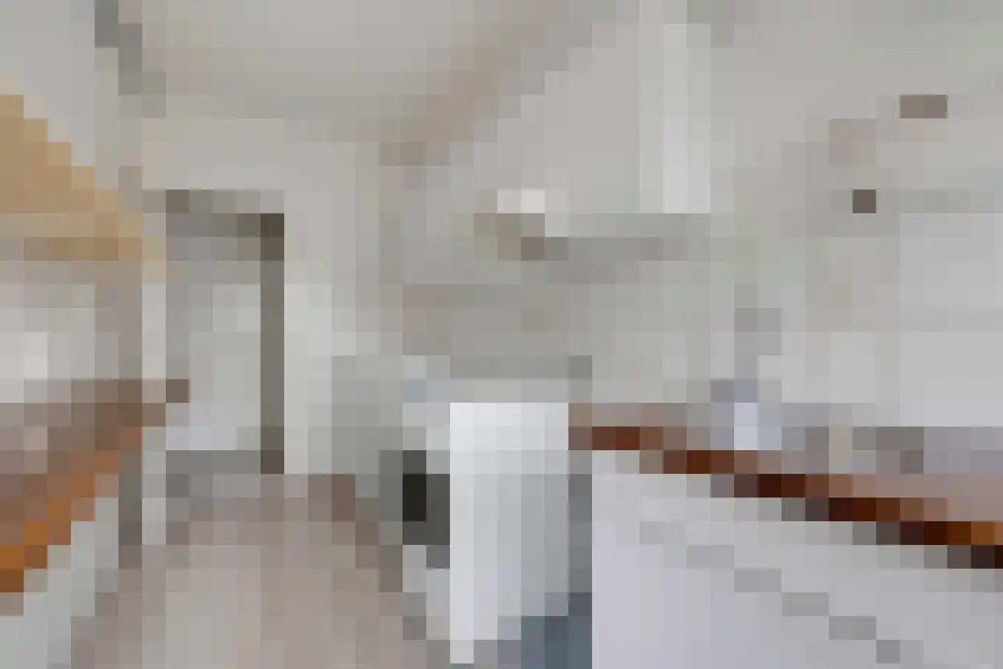 Huis te Landelaan 478 Rijswijk thumbnail 11