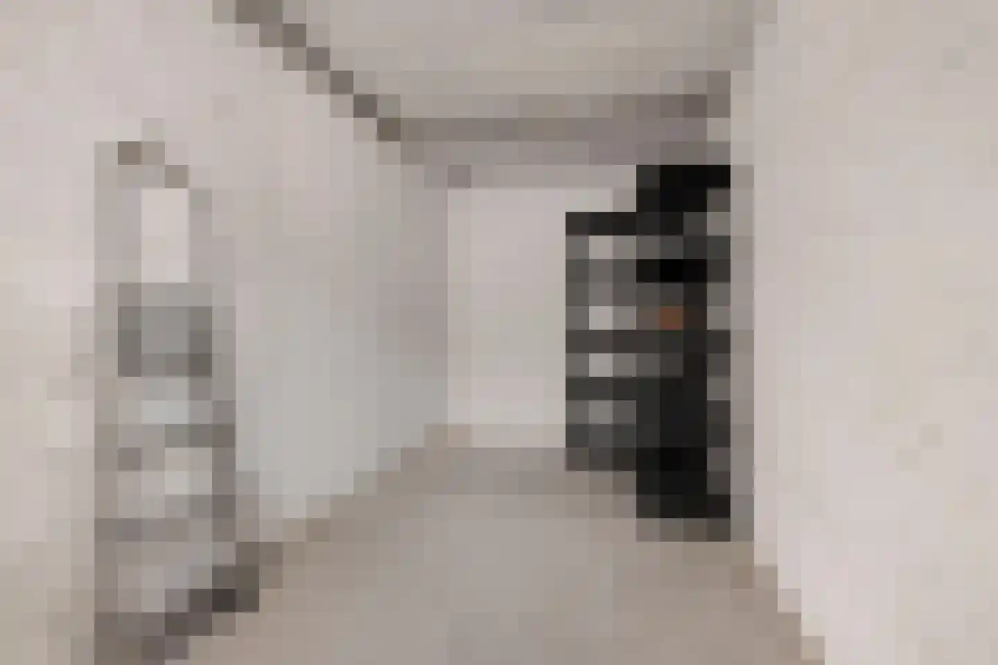 Huis te Landelaan 478 Rijswijk thumbnail 22