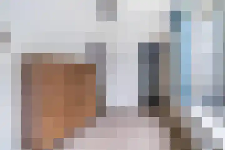 Huis te Landelaan 532 Rijswijk thumbnail 15