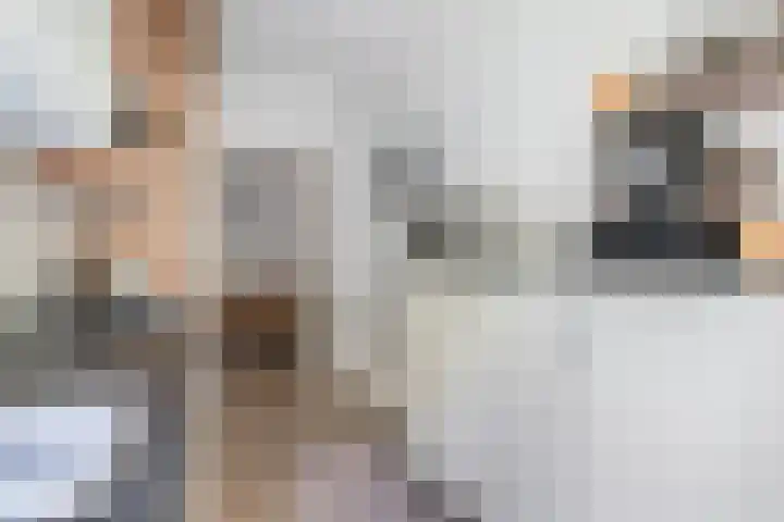 Huis te Landelaan 532 Rijswijk thumbnail 20