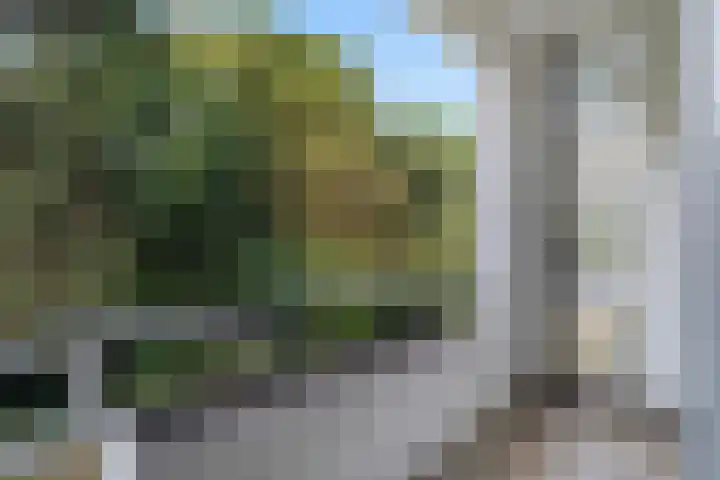 Huis te Landelaan 532 Rijswijk thumbnail 22
