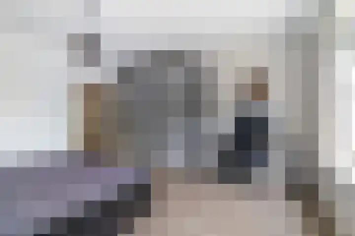 Huis te Landelaan 532 Rijswijk thumbnail 27