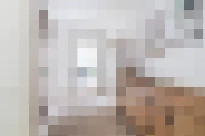 Huis te Landelaan 532 Rijswijk thumbnail 7