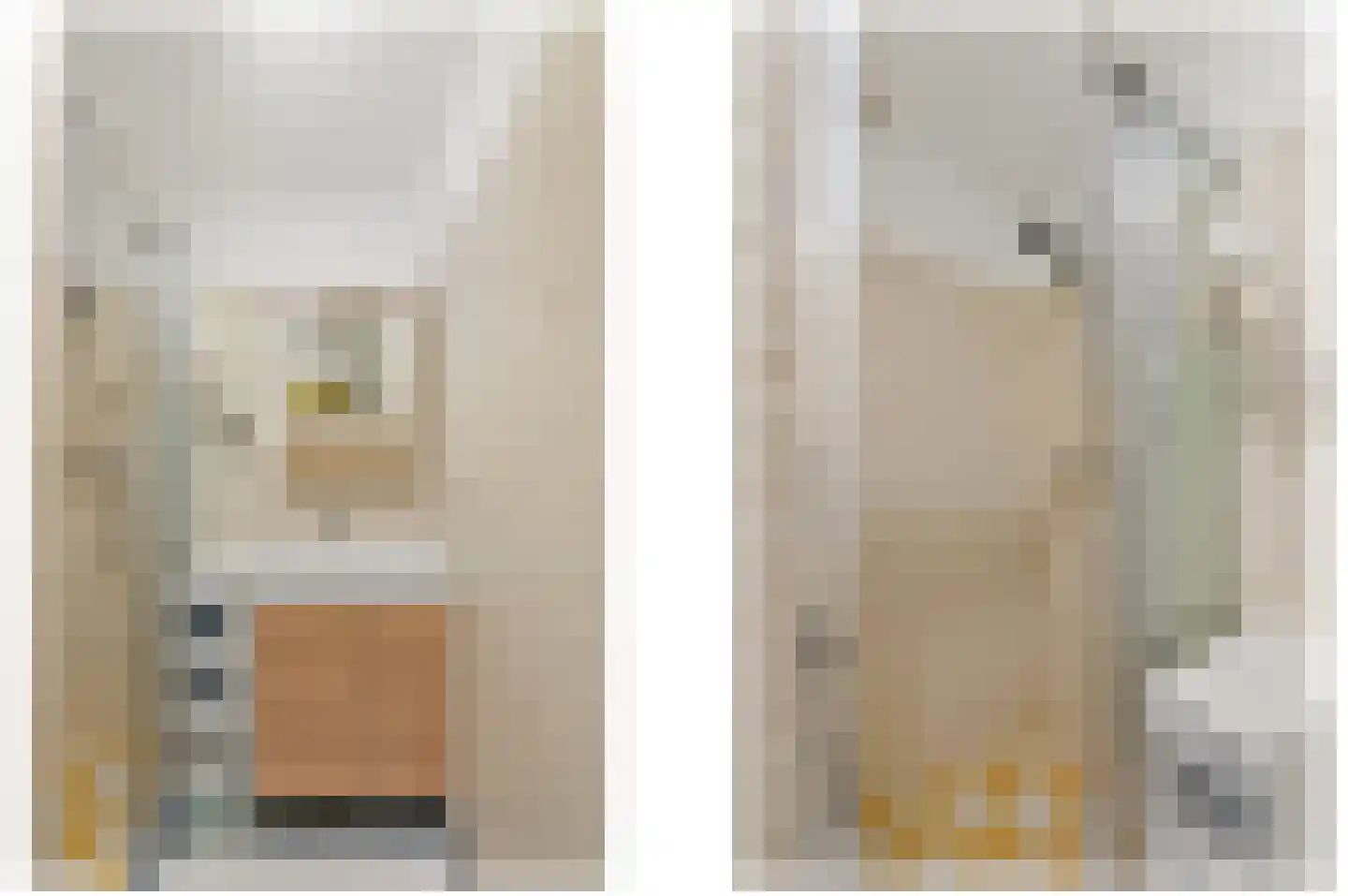 Huis te Landelaan 6 Rijswijk thumbnail 26