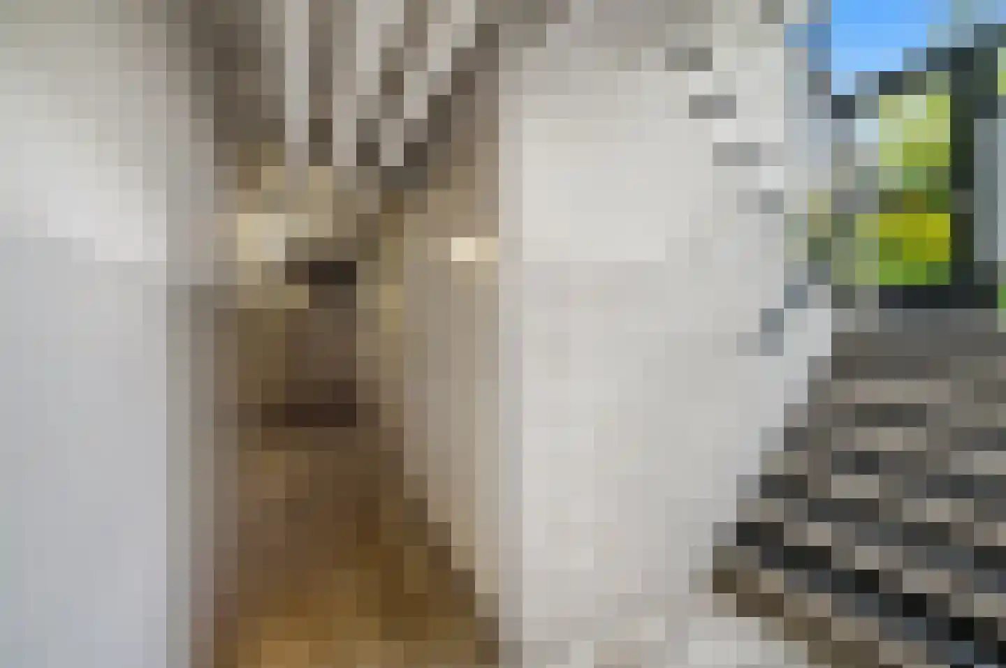 Huis te Landelaan 6 Rijswijk thumbnail 29