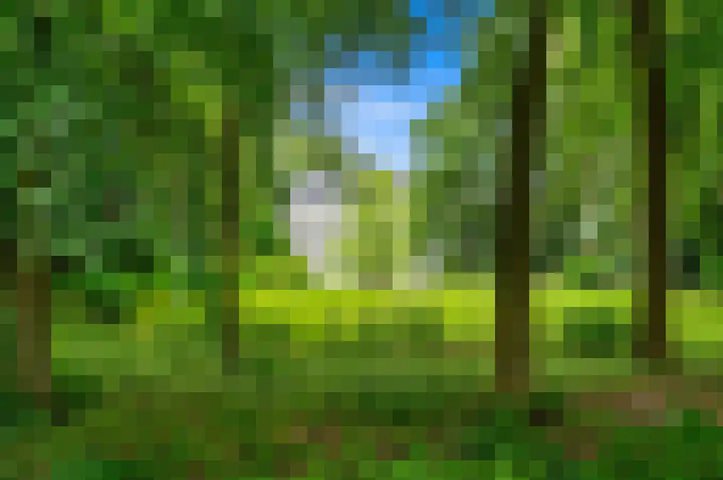 Huis te Landelaan 6 Rijswijk thumbnail 33
