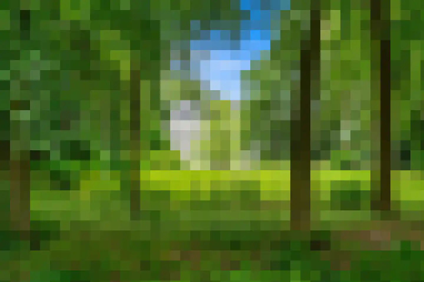 Huis te Landelaan 6 Rijswijk thumbnail 33