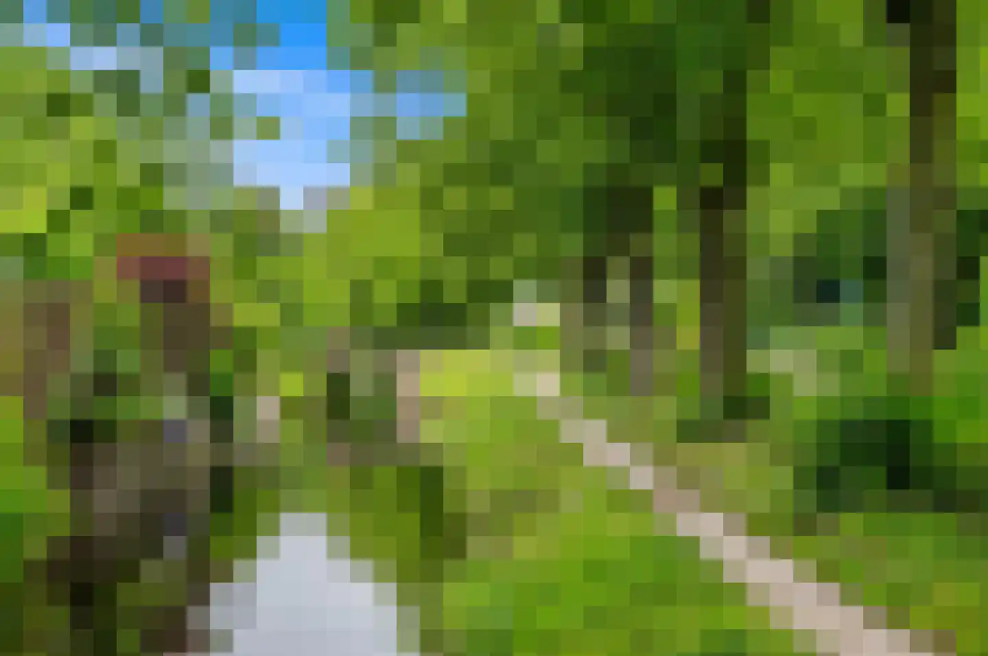 Huis te Landelaan 6 Rijswijk thumbnail 35