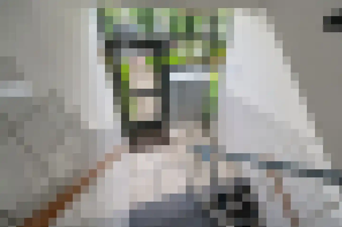 Huis te Landelaan 6 Rijswijk thumbnail 9