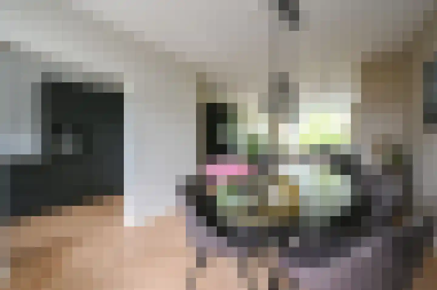 Huis te Landelaan 60 Rijswijk thumbnail 14