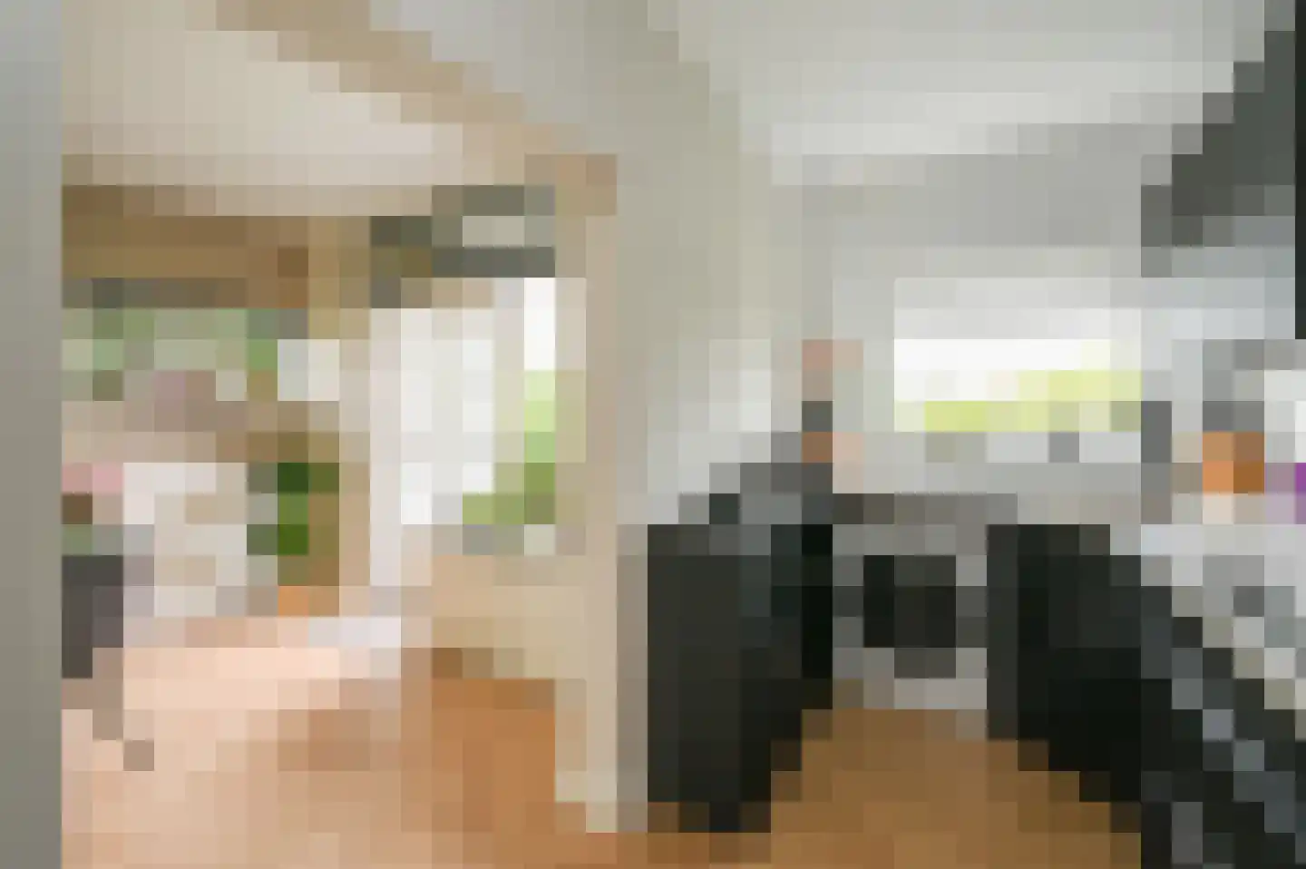 Huis te Landelaan 60 Rijswijk thumbnail 16