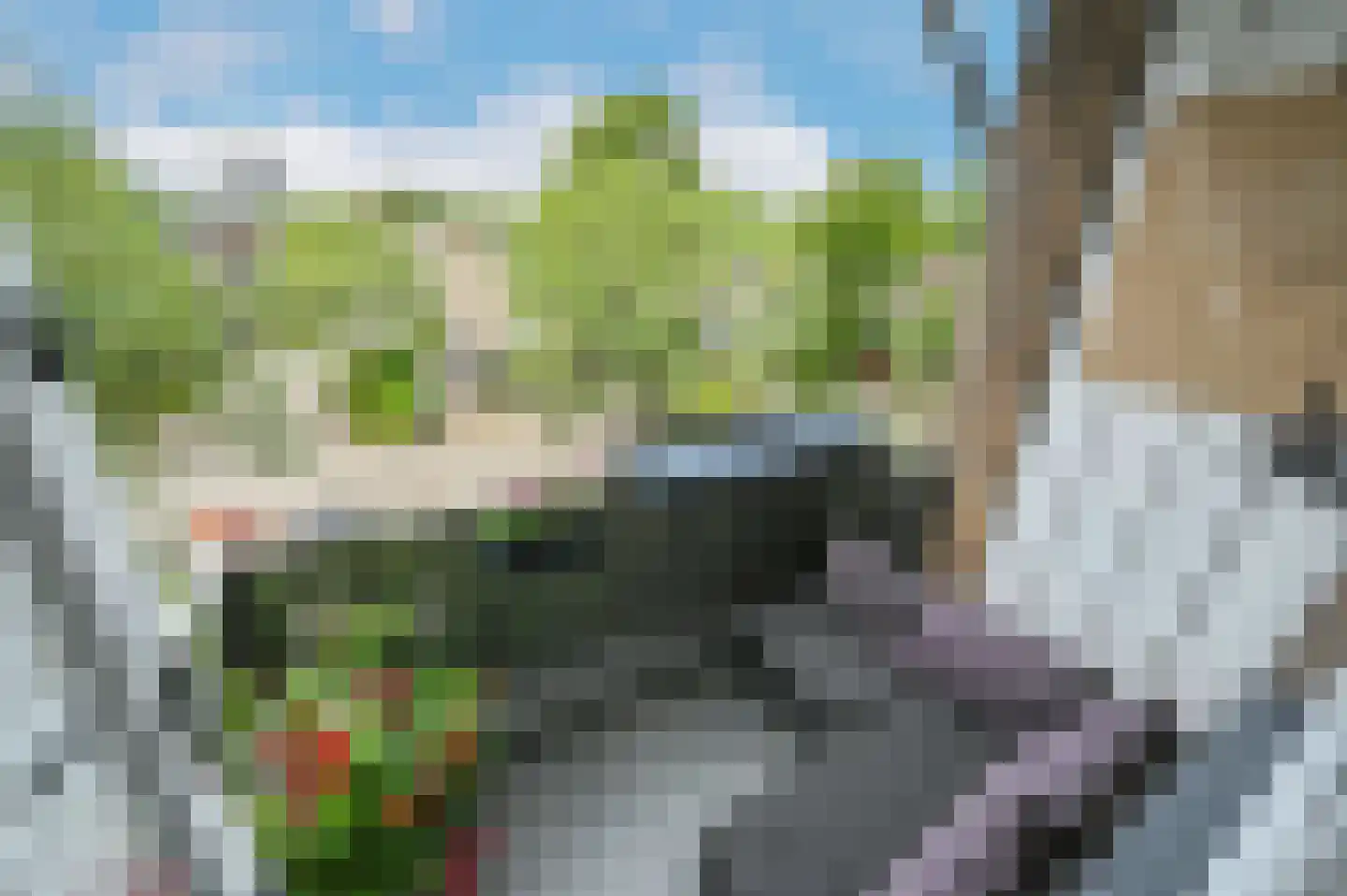 Huis te Landelaan 60 Rijswijk thumbnail 18