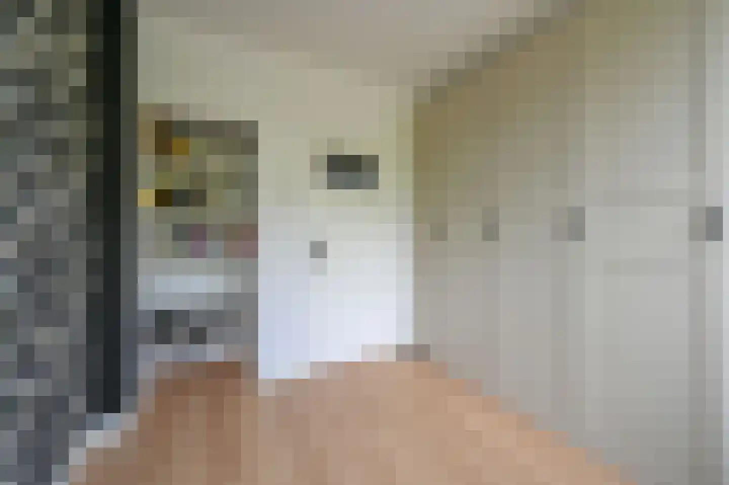 Huis te Landelaan 60 Rijswijk thumbnail 25