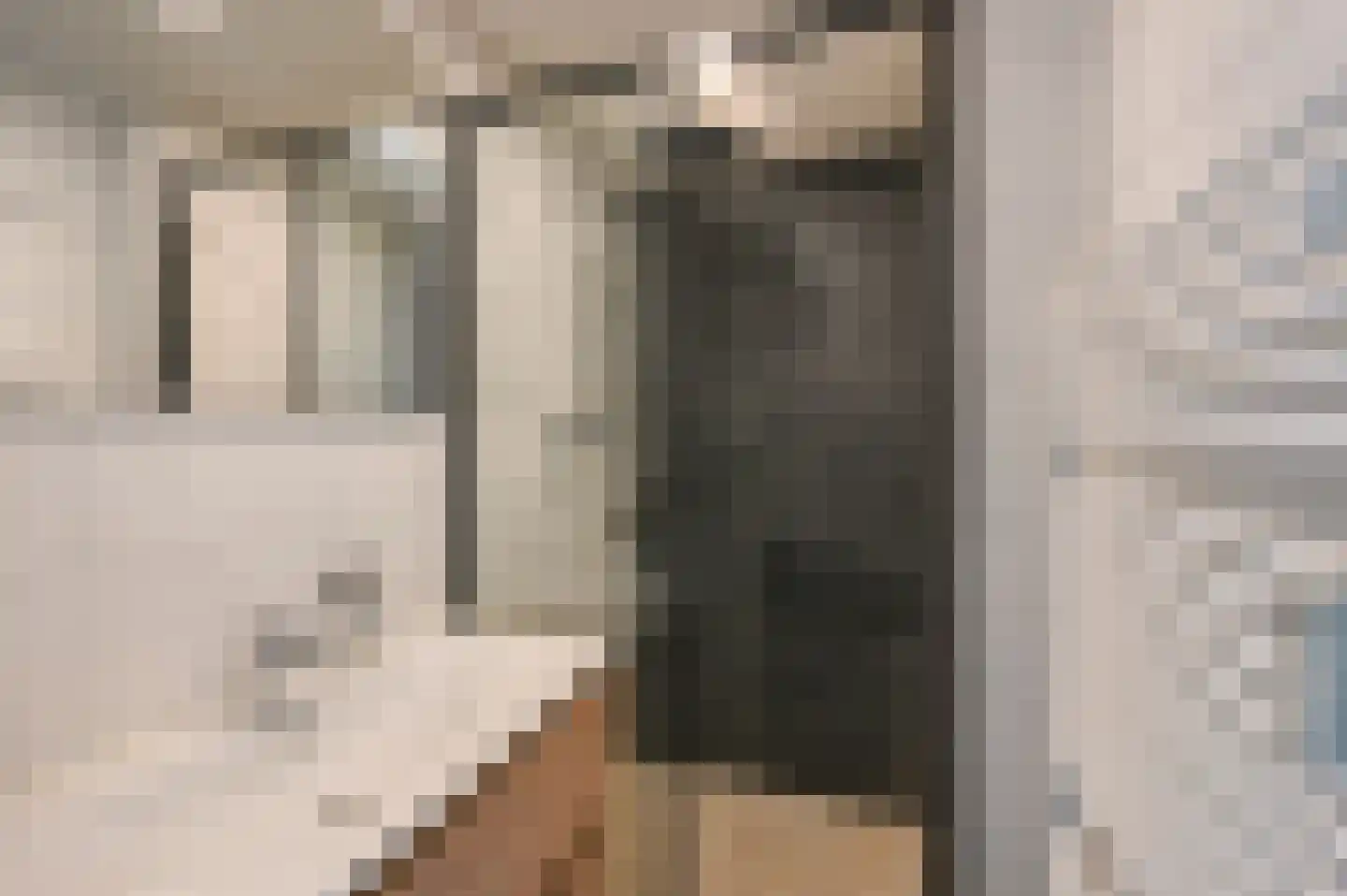 Huis te Landelaan 60 Rijswijk thumbnail 4