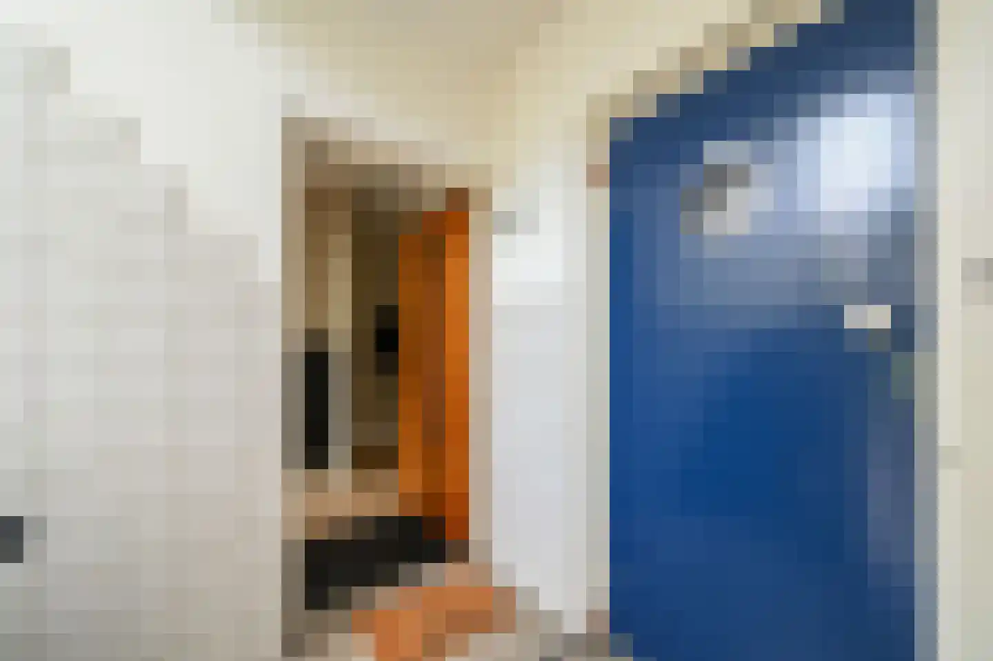 Huis te Landelaan 60 Rijswijk thumbnail 5