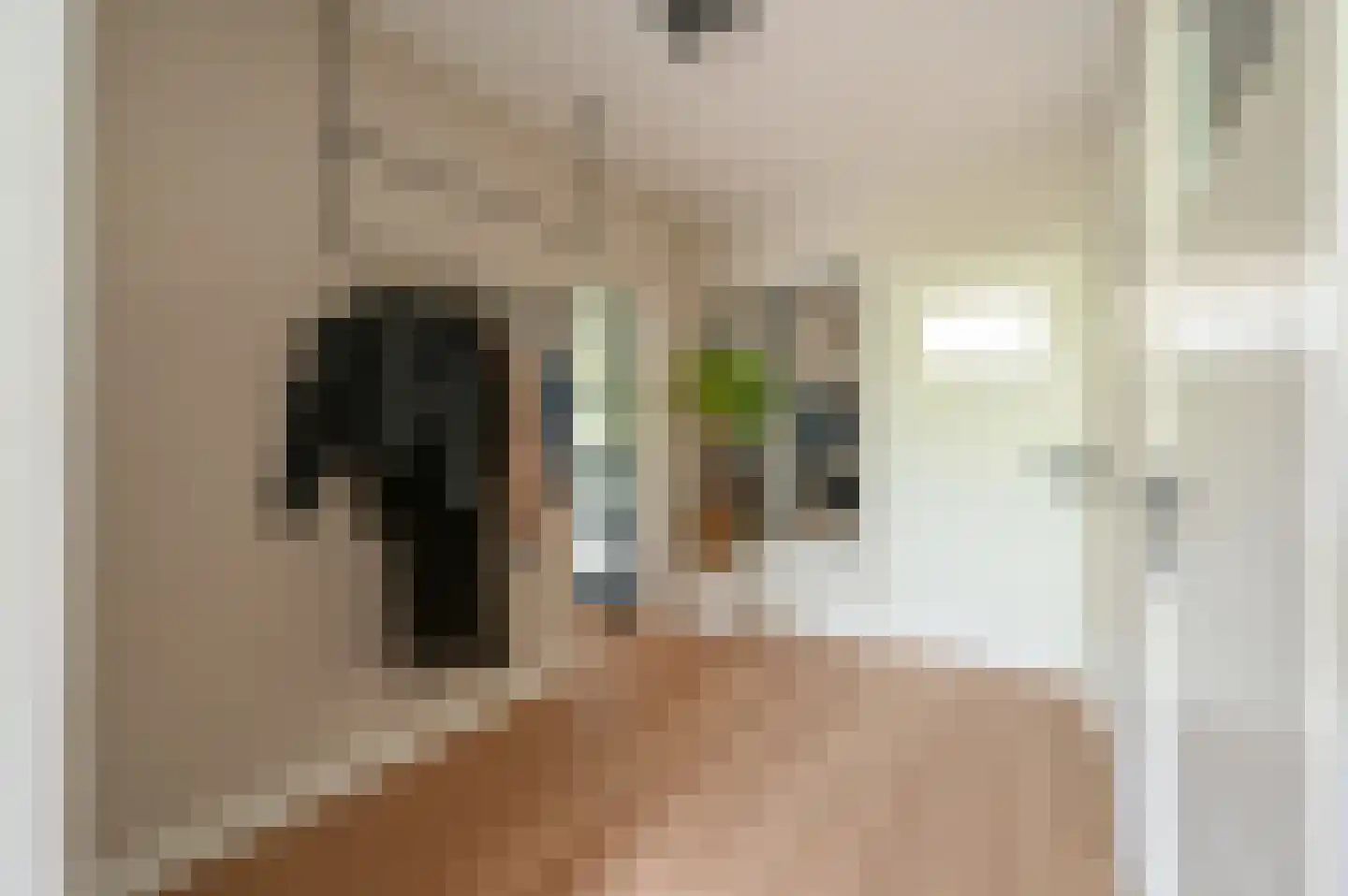 Huis te Landelaan 60 Rijswijk thumbnail 7