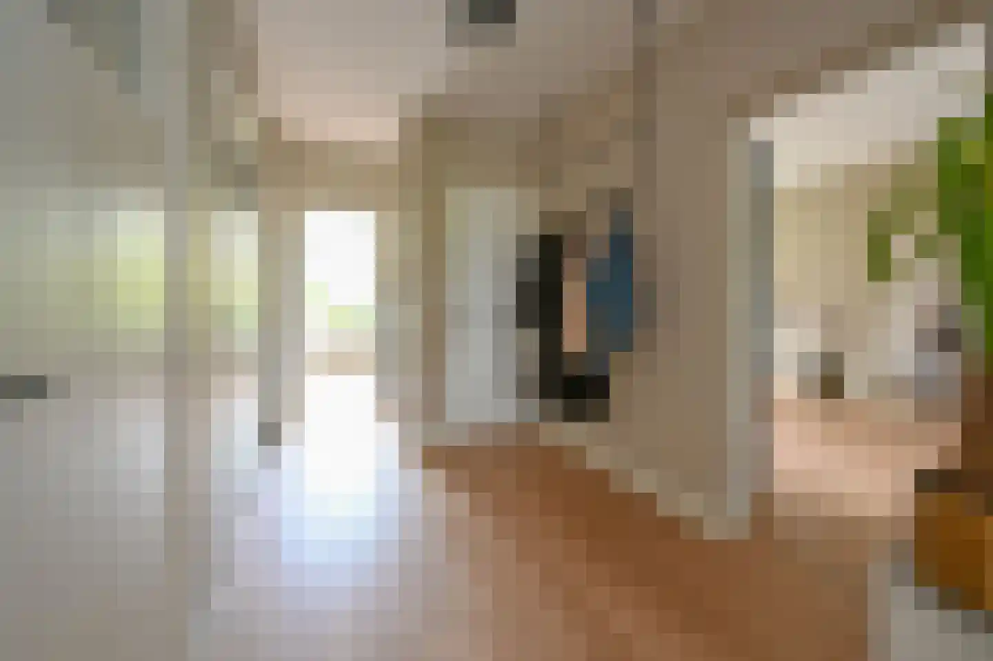 Huis te Landelaan 60 Rijswijk thumbnail 8