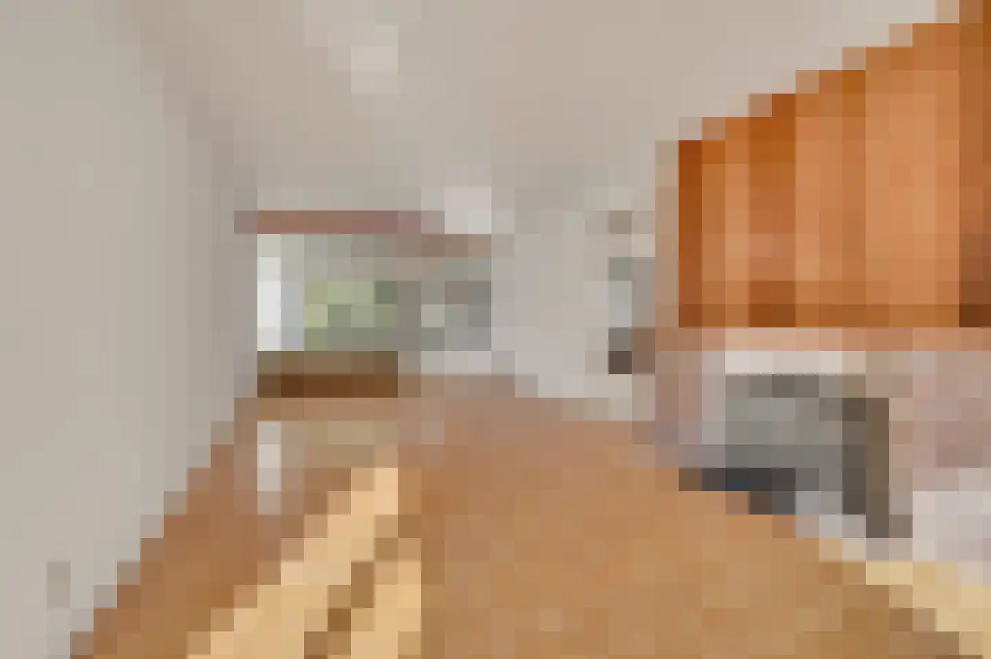 Huis te Landelaan 84 Rijswijk thumbnail 10