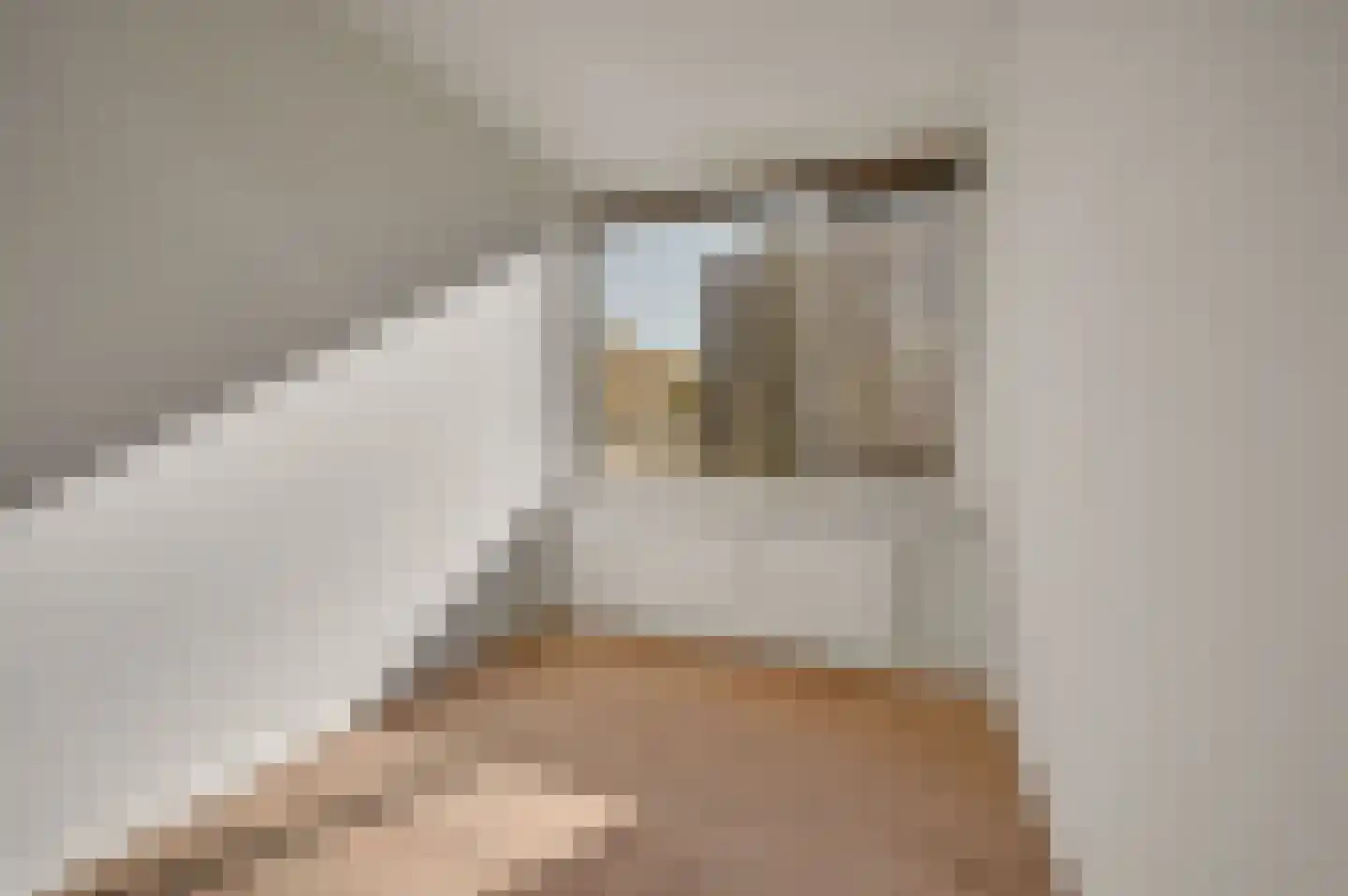 Huis te Landelaan 84 Rijswijk thumbnail 14