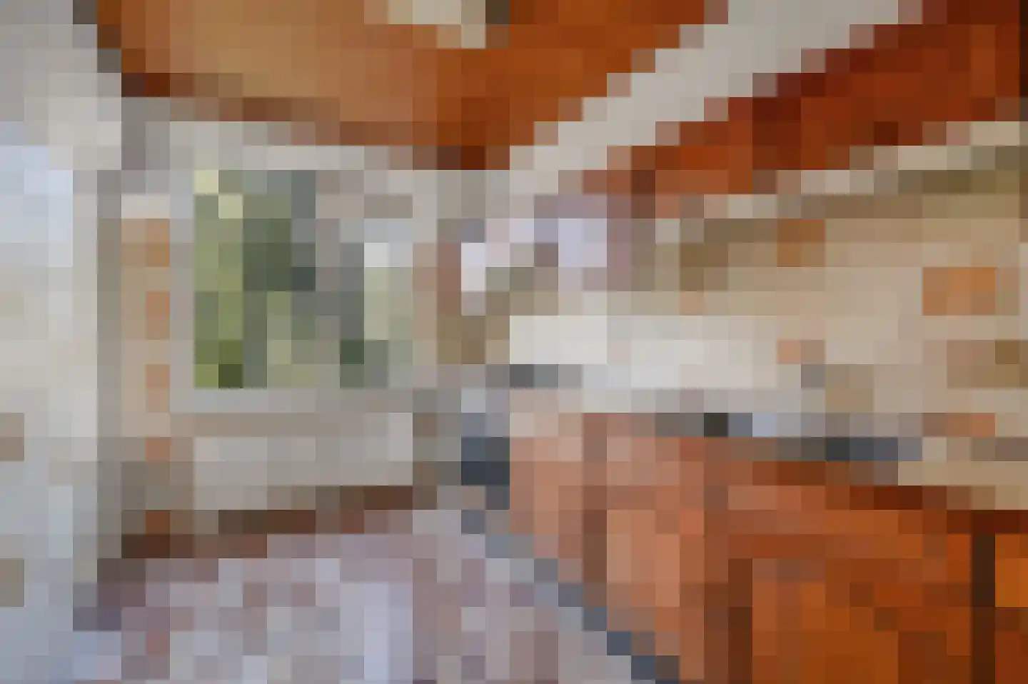 Huis te Landelaan 84 Rijswijk thumbnail 19