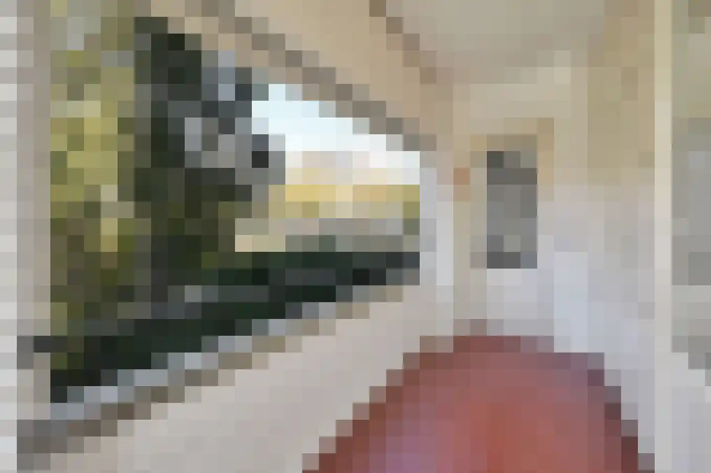 Huis te Landelaan 84 Rijswijk thumbnail 22