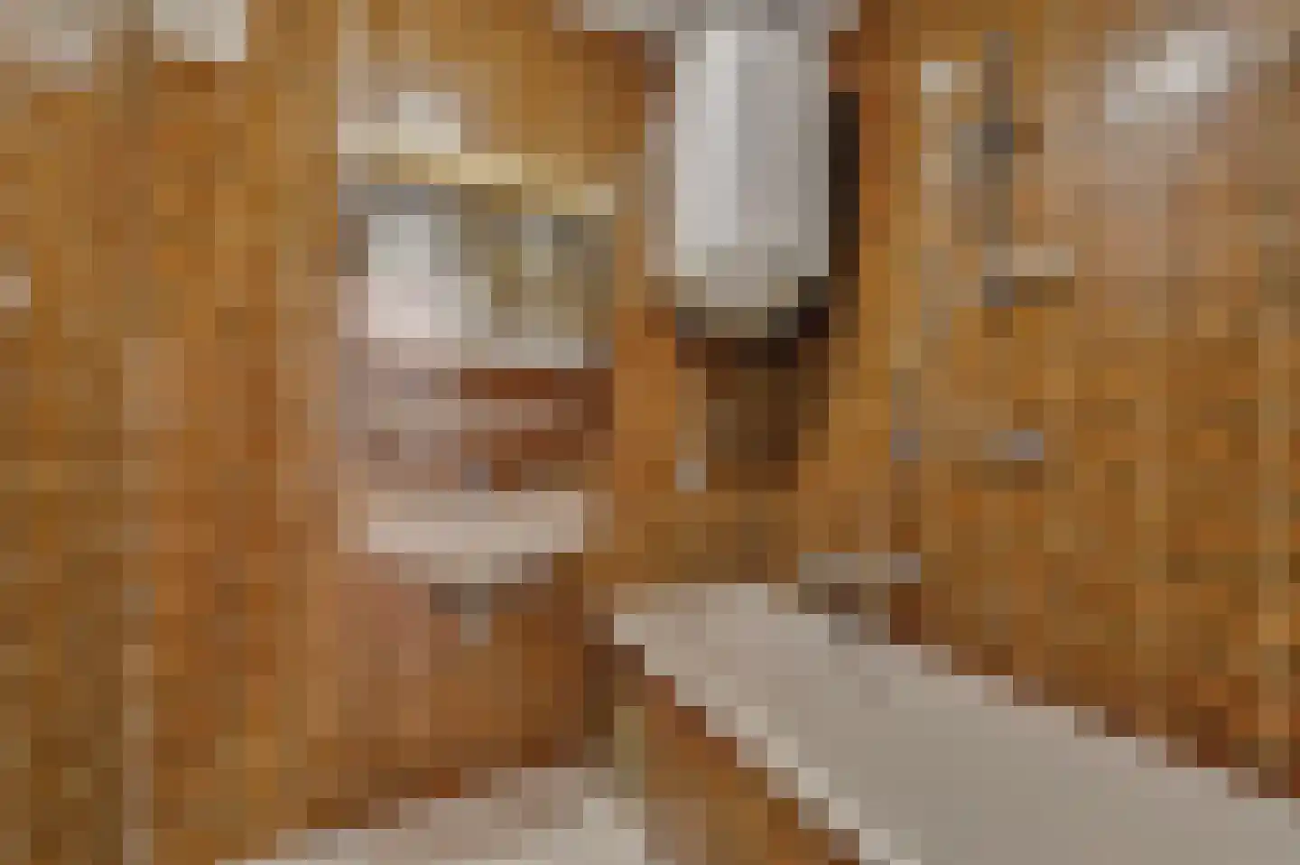 Huis te Landelaan 84 Rijswijk thumbnail 23