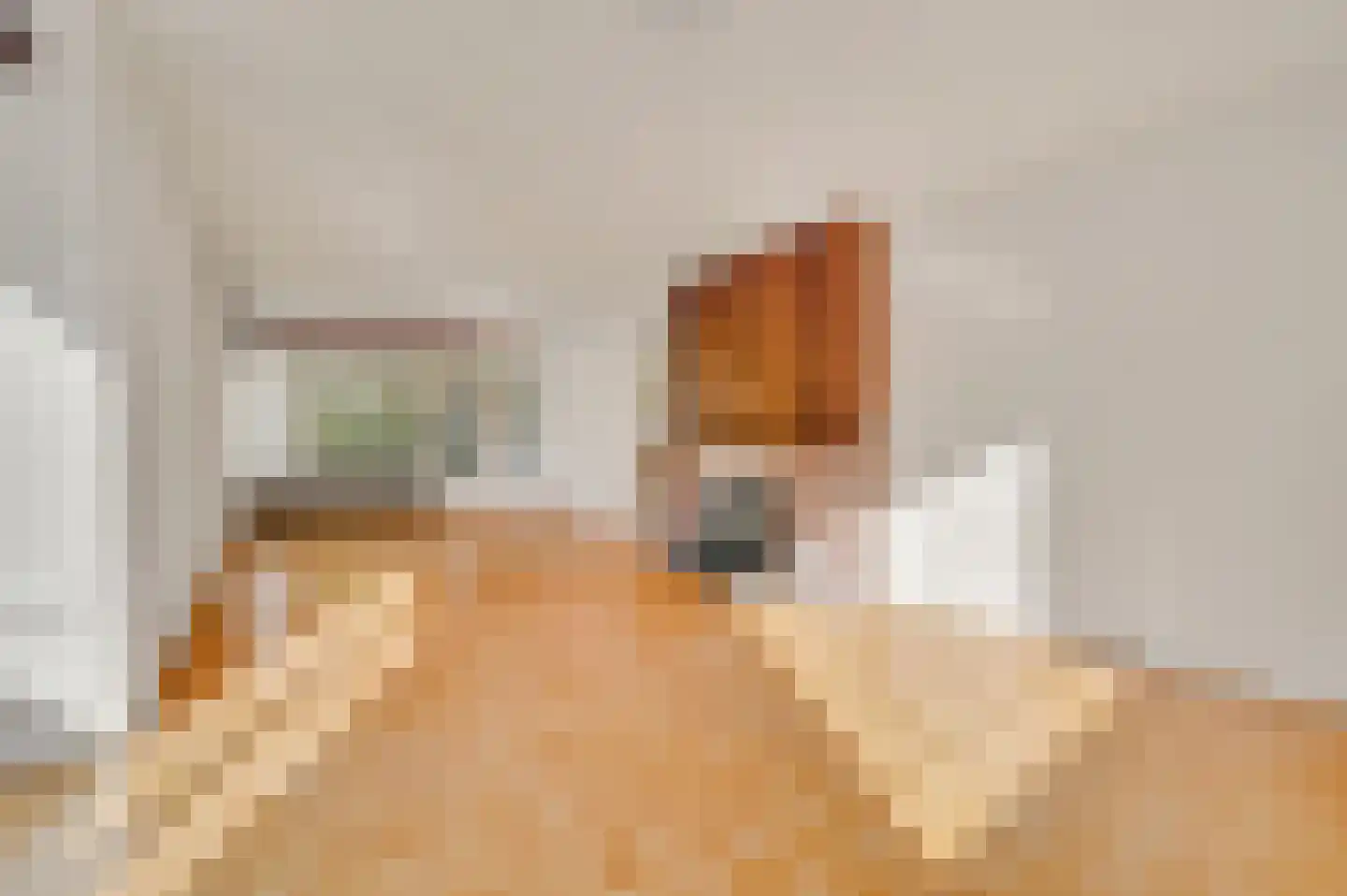 Huis te Landelaan 84 Rijswijk thumbnail 5
