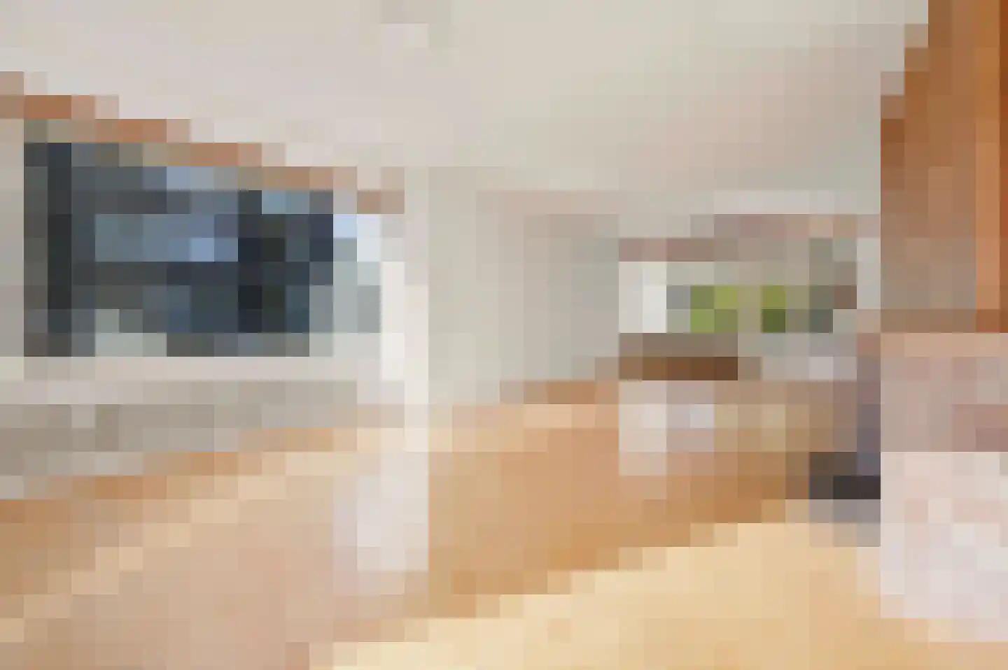 Huis te Landelaan 84 Rijswijk thumbnail 6