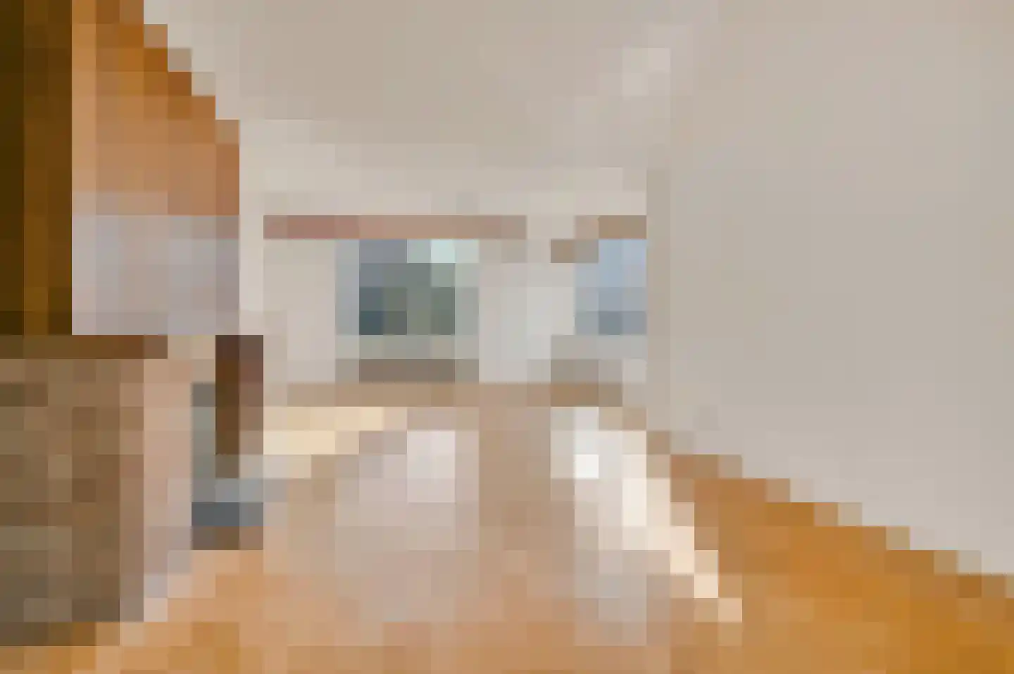 Huis te Landelaan 84 Rijswijk thumbnail 8