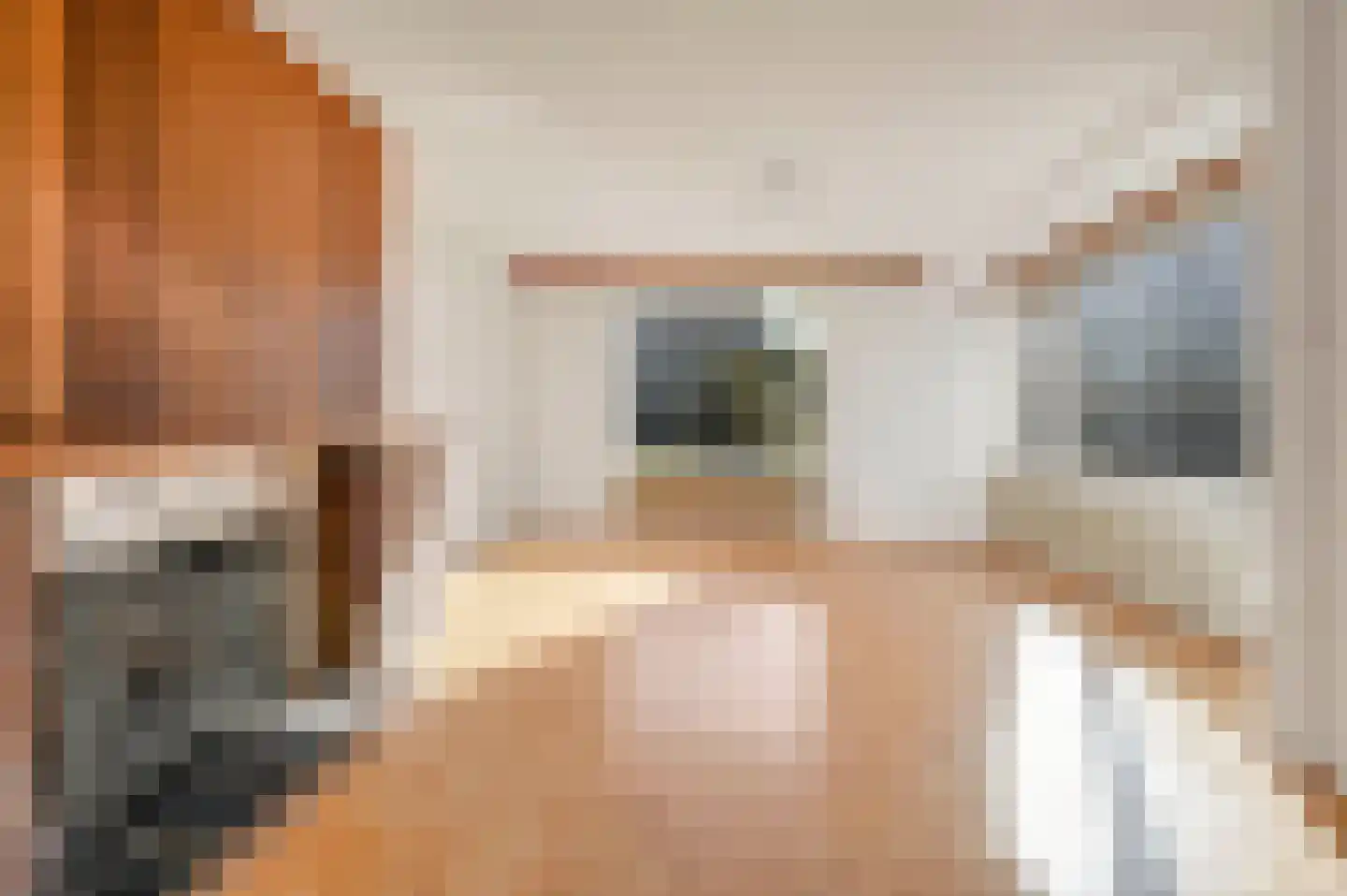 Huis te Landelaan 84 Rijswijk thumbnail 9