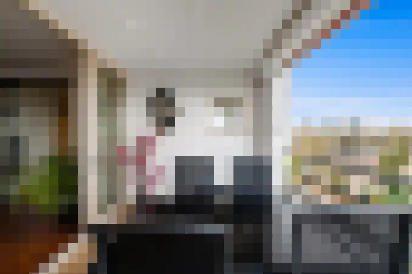 Huis te Landelaan 92 Rijswijk thumbnail 17