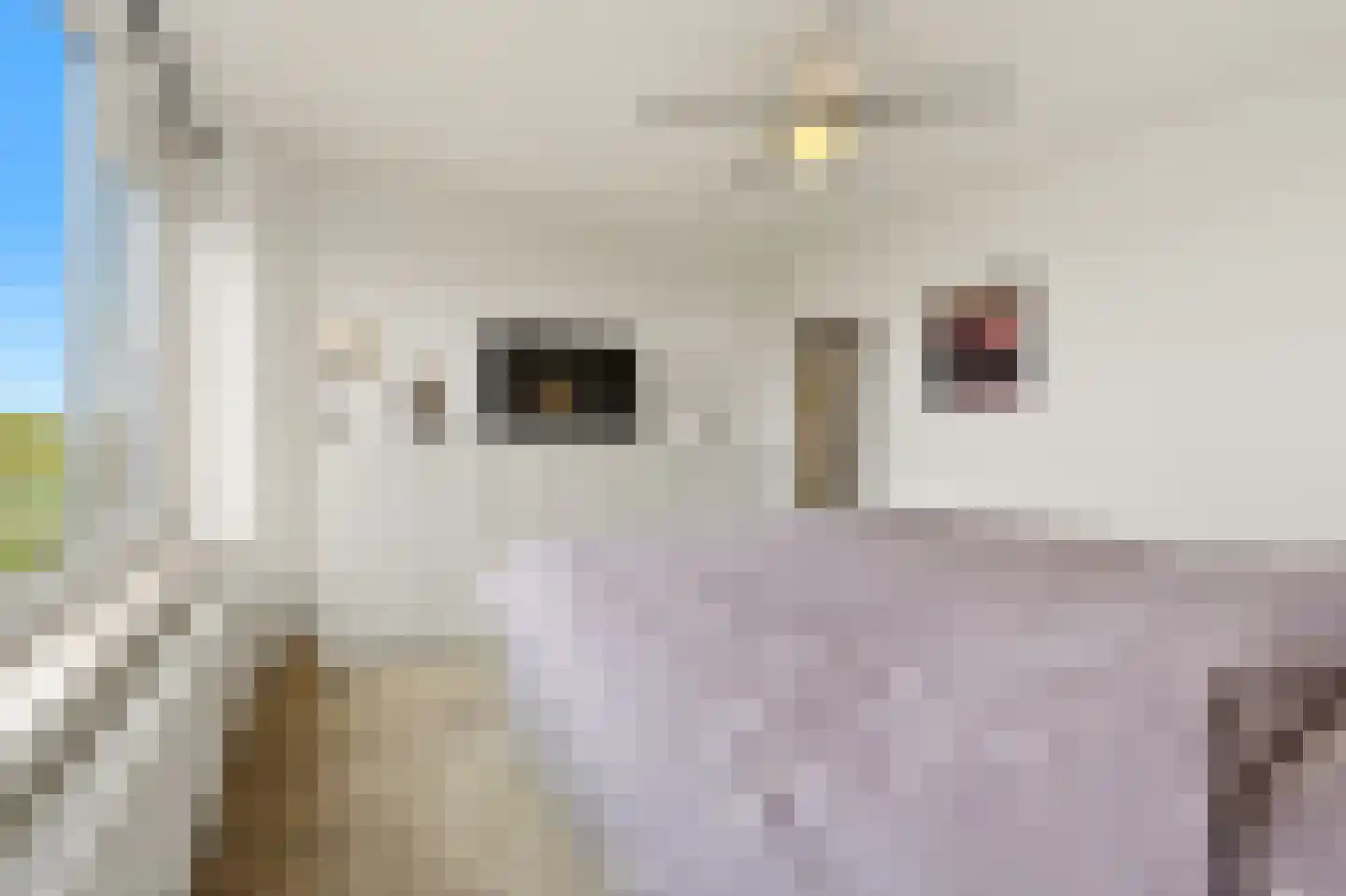 Huis te Landelaan 92 Rijswijk thumbnail 28