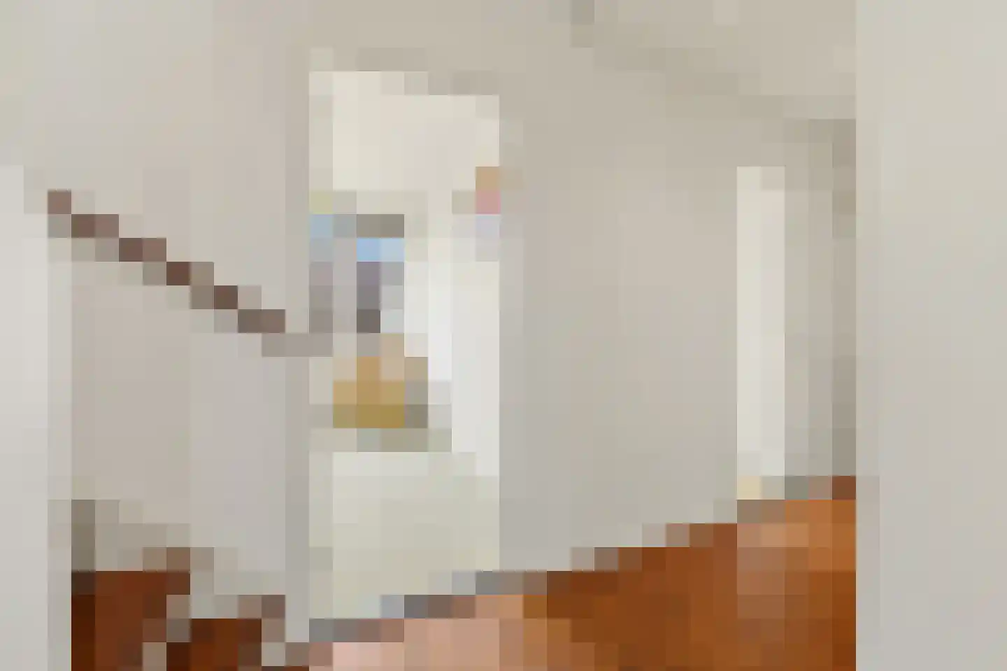 Huis te Landelaan 92 Rijswijk thumbnail 33