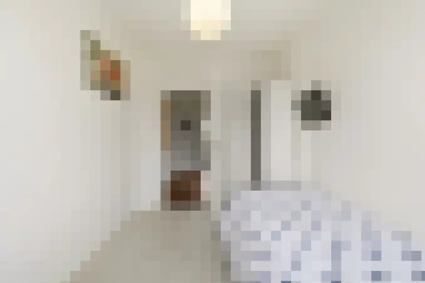 Huis te Landelaan 92 Rijswijk thumbnail 37