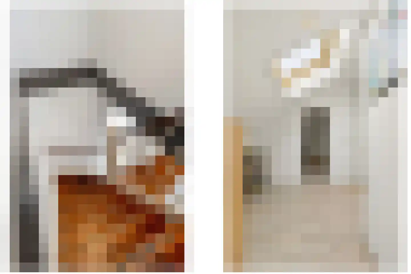 Huis te Landelaan 92 Rijswijk thumbnail 39