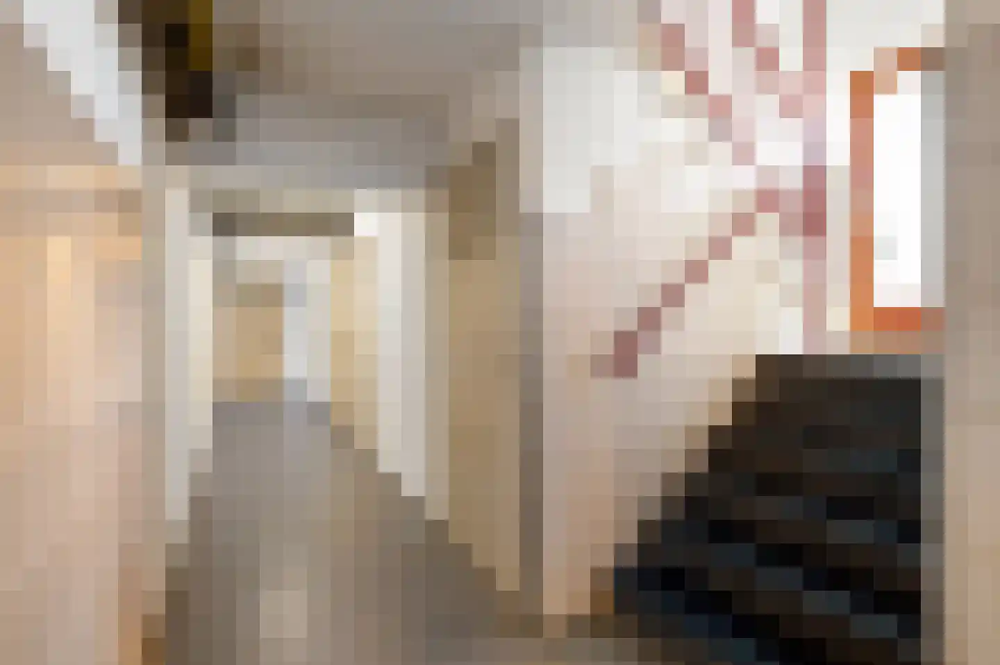 Huis te Landelaan 92 Rijswijk thumbnail 51