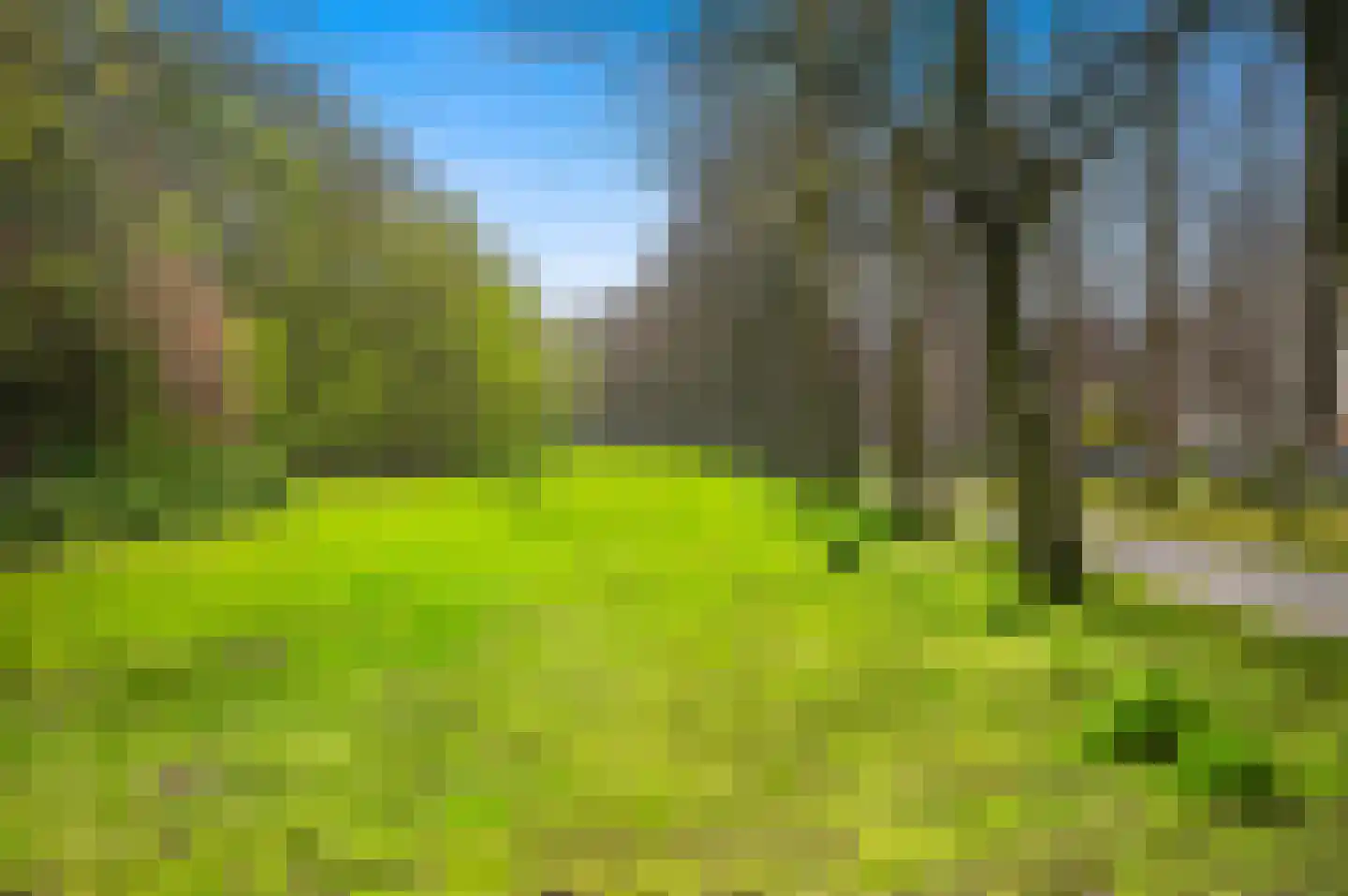 Huis te Landelaan 92 Rijswijk thumbnail 56