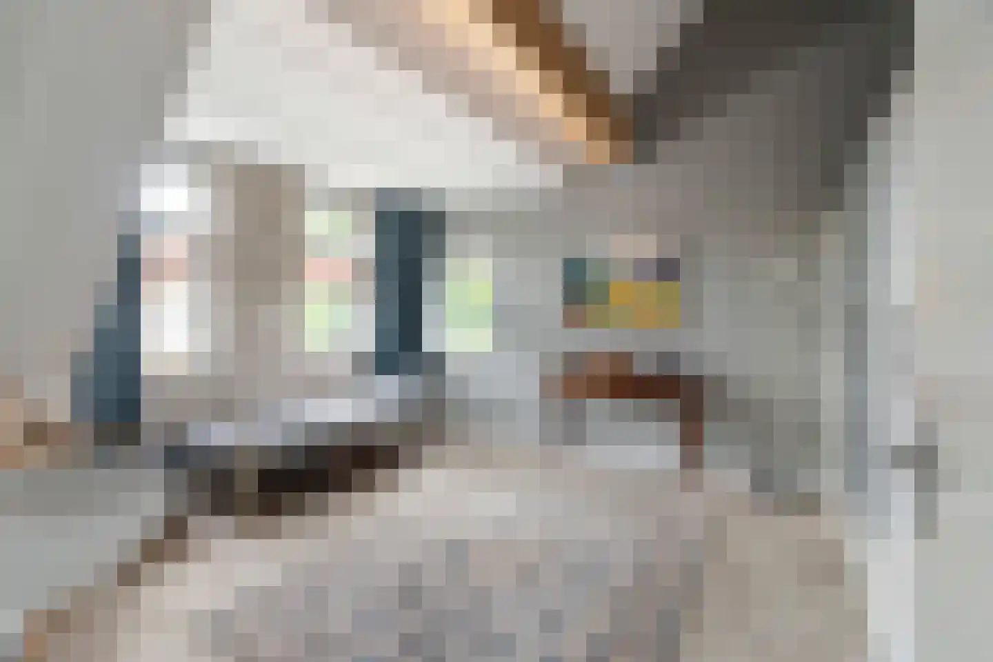 Huis te Veldelaan 16 d Maasland thumbnail 27