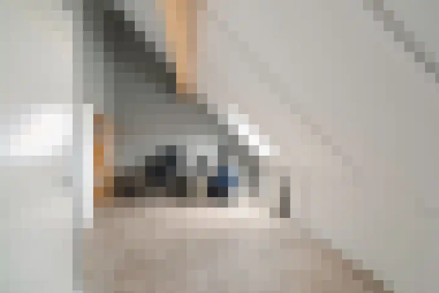 Huis te Veldelaan 16 d Maasland thumbnail 31