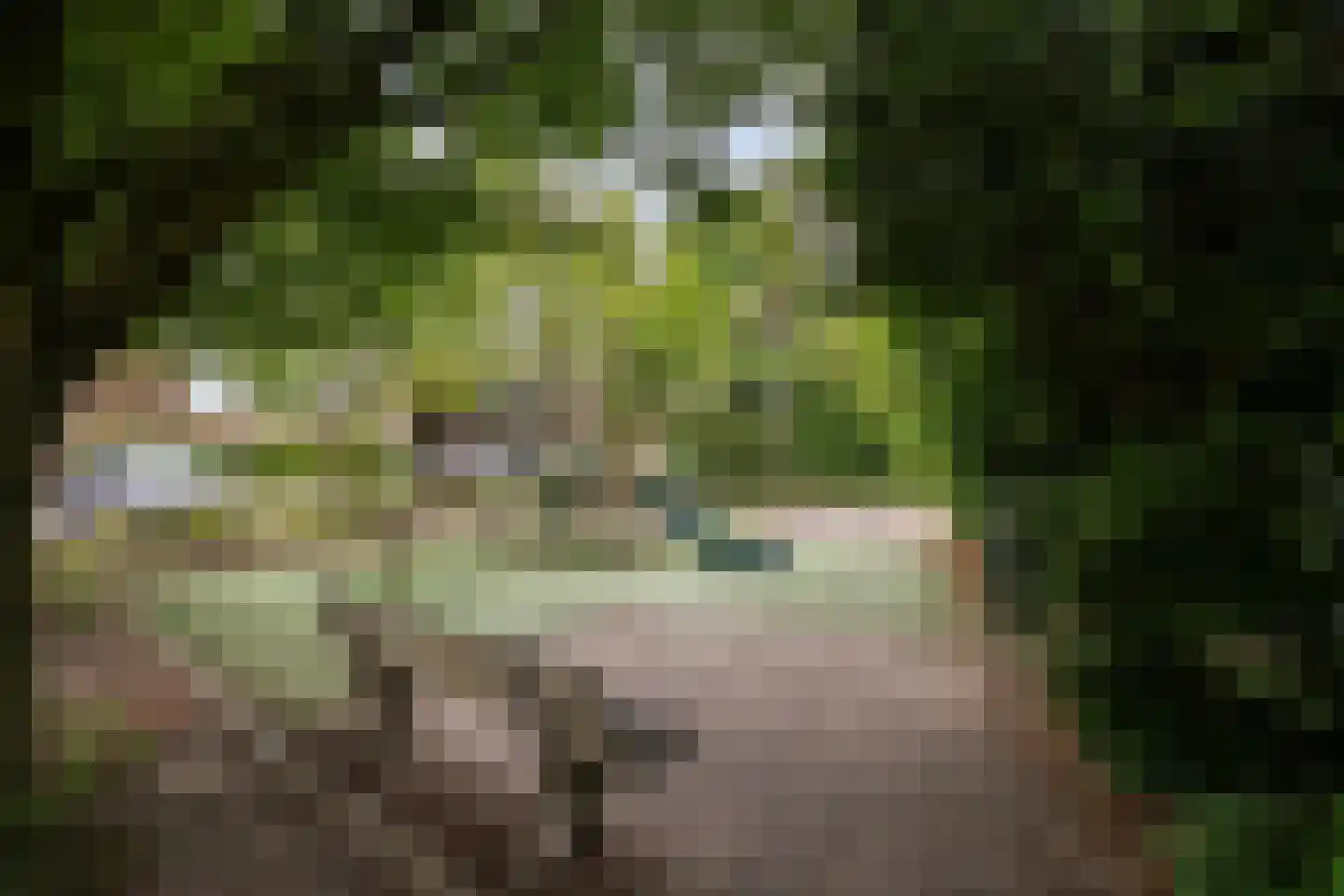 Huis te Veldelaan 16 d Maasland thumbnail 43