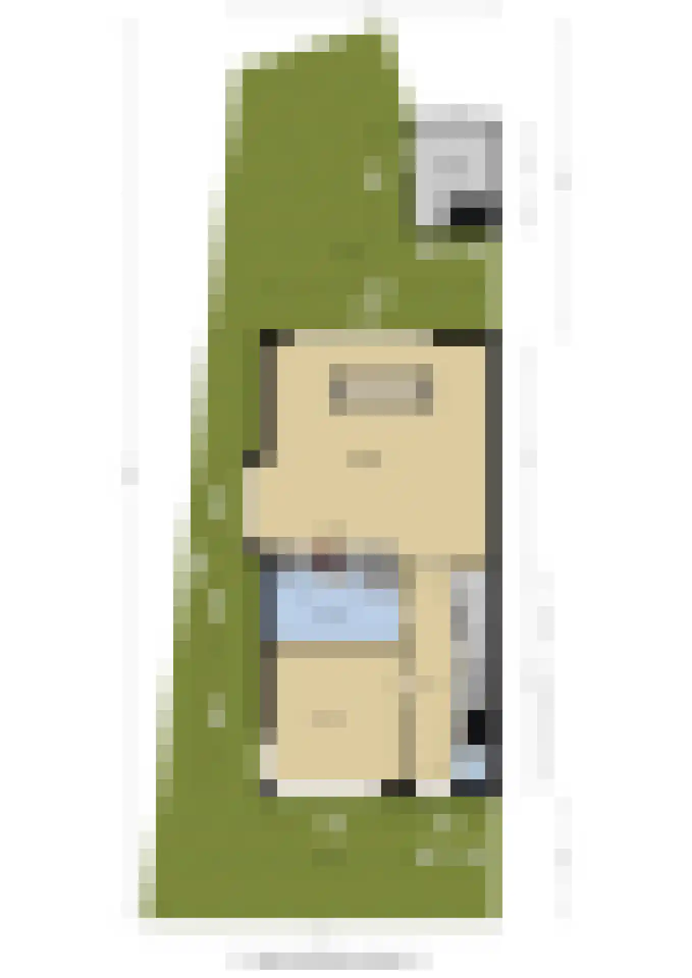 Huis te Veldelaan 16 d Maasland thumbnail 46