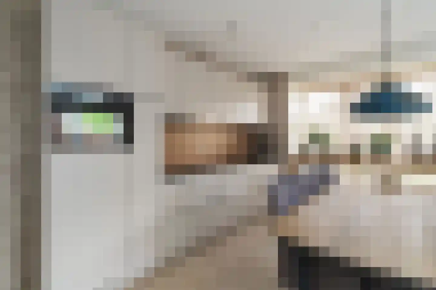 Huis te Veldelaan 16 d Maasland thumbnail 5