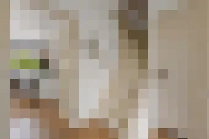 Huis te Veldelaan 21 Maasland thumbnail 12