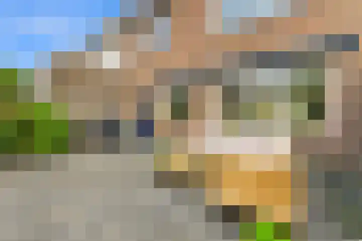 Huis te Veldelaan 21 Maasland thumbnail 16