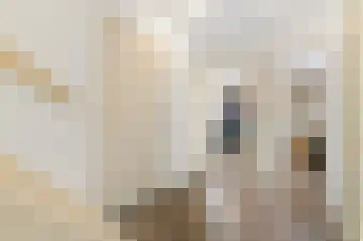 Huis te Veldelaan 21 Maasland thumbnail 26