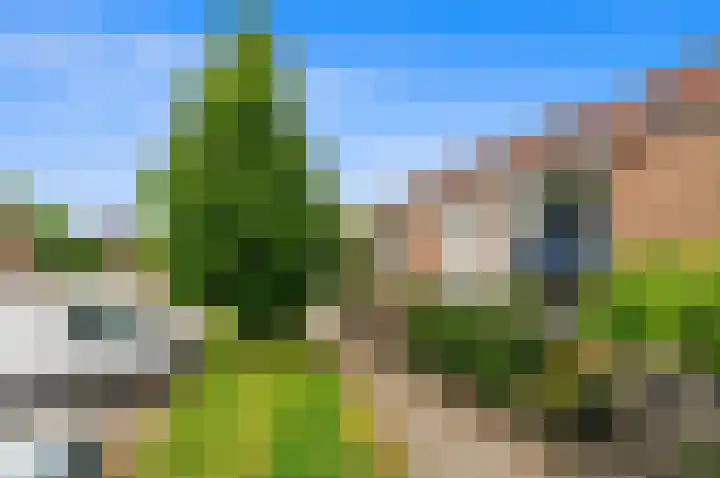 Huis te Veldelaan 21 Maasland foto 3
